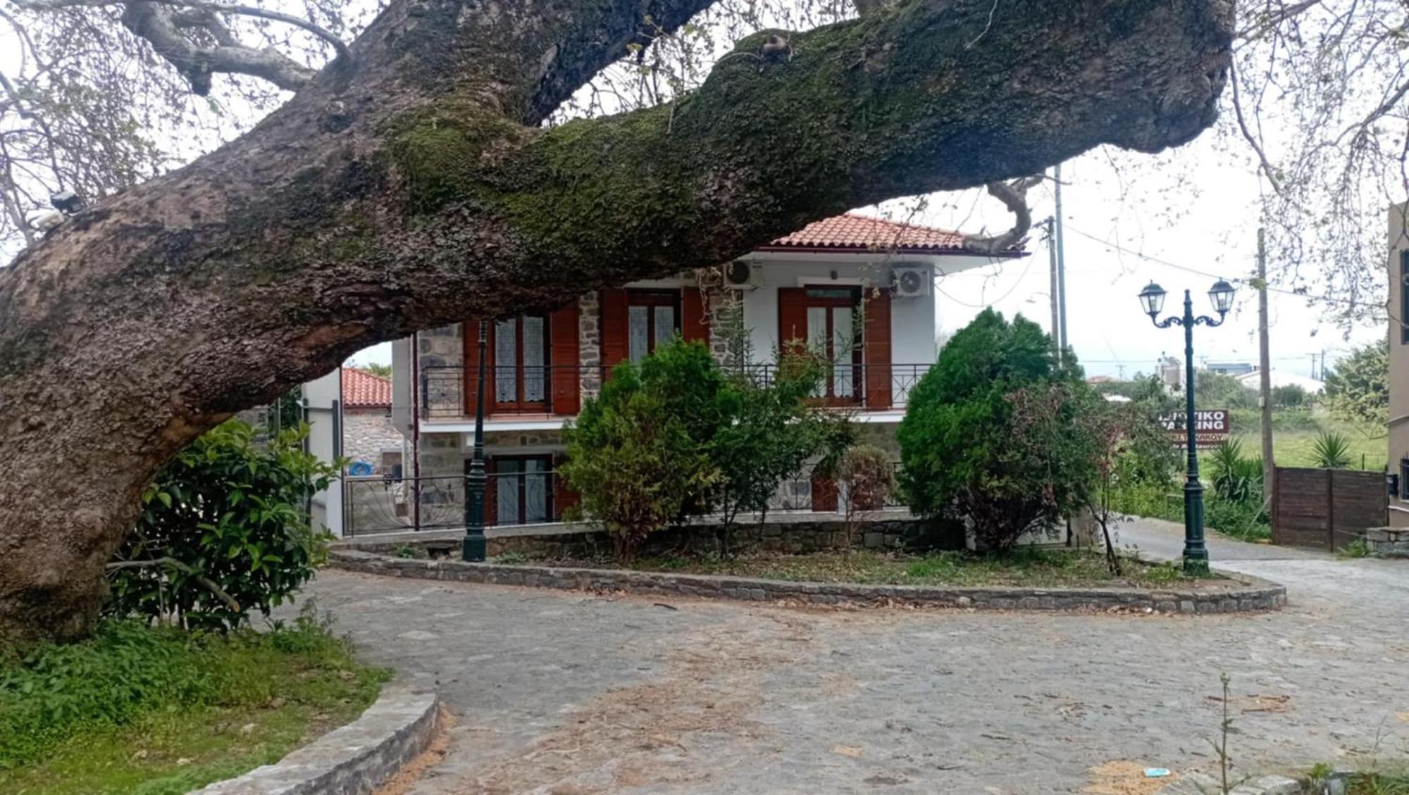 Villa Iris Mystras Exterior photo